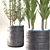 Decorative Plant Duo: Interior Bliss 3D model small image 3