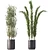 Decorative Plant Duo: Interior Bliss 3D model small image 4