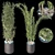 Decorative Plant Duo: Interior Bliss 3D model small image 5