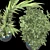 Decorative Plant Duo: Interior Bliss 3D model small image 6