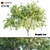 Mesquite: Natural Beauty for Your Home 3D model small image 1