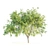 Mesquite: Natural Beauty for Your Home 3D model small image 3