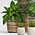 Elegant Greenery Collection: 128-Piece Plant Set 3D model small image 5