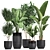 Exotic Plant Collection: Indoor & Outdoor Decor 3D model small image 1