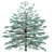 Blue Spruce Trio: Stunning Picea Pungens Set 3D model small image 3