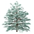 Blue Spruce Trio: Stunning Picea Pungens Set 3D model small image 4