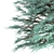 Blue Spruce Trio: Stunning Picea Pungens Set 3D model small image 5