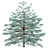 Blue Spruce Trio: Stunning Picea Pungens Set 3D model small image 7