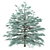 Blue Spruce Trio: Stunning Picea Pungens Set 3D model small image 8
