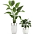 Exquisite Plant Collection in White Vases 3D model small image 3