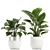 Exquisite Plant Collection in White Vases 3D model small image 4