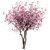 3 Tree Set: Red Maple, Chinese Magnolia & Persian Silk 3D model small image 4