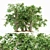 Leafy Assortment: 5 Broadleaf Trees 3D model small image 1