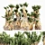 Majestic Bristlecone Pine Collection 3D model small image 1