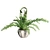 Lush Double Boston Fern: Incl. Pot 3D model small image 2