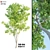 Natural Ash Tree Woodcraft 3D model small image 1