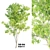 Natural Ash Tree Woodcraft 3D model small image 5