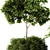 Green Oasis Outdoor Plants - Set 81 3D model small image 3