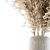 Natural Dried Pampas Grass 3D model small image 2