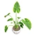 Luscious Elephant Ear Pot 3D model small image 2