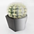 Stylish Cactus Pot - Hair And Fur 3D model small image 2