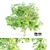 Ethereal Elm Tree: Stunning Polygon Art 3D model small image 5