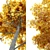 Autumn Splendor Pignut Hickory 3D model small image 5