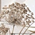 Elegant Decor Set with Carex Riparia & Heracleum 3D model small image 2