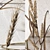 Elegant Decor Set with Carex Riparia & Heracleum 3D model small image 3