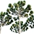 Natural Araucaria Pine Wood: Authentic, Durable 3D model small image 4