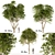 Title: Broad-Leaved Paperbark Trees (Set of 3) 3D model small image 1