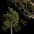 Autumn Serenity: 3D Tree with Natural Textures 3D model small image 9