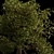 Autumn Serenity: 3D Tree with Natural Textures 3D model small image 11