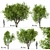 Amur Maple Tree Set (4 Trees) 3D model small image 5