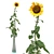 Sunflower in Vase 3D model small image 1