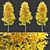 Vibrant Vine Maple: Acer circinatum 3D model small image 2