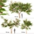 Flamboyant Trees Set: 3 Magnificent Royal Poinciana 3D model small image 4