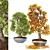 Miniature Tree Collection 3D model small image 1