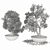 Miniature Tree Collection 3D model small image 4