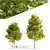 Cleveland Norway Maple: Twin Trees, 10-14m 3D model small image 1