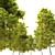 Cleveland Norway Maple: Twin Trees, 10-14m 3D model small image 4