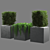 Botanical Beauty: 648k Polygon Plant 3D model small image 2