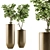 Bonsai Ficus: Indoor Plant Set 91 3D model small image 1
