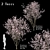 Blooming Cornus Florida Trees: Set of 2 3D model small image 1