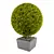 Giant Thuja Folded: 620x620x820mm 3D model small image 1