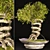 Speedtree Designed Weed Bonsai 3D model small image 1