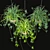 Low-Maintenance Spider Plants Combo 3D model small image 2