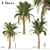 Set of 3 Silver Date Palm Trees 3D model small image 1