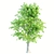 Assorted Tree Set: Acacia, Oak, Katsura 3D model small image 3