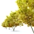 Acer Platanoides: Stunning Norway Maple 3D model small image 3